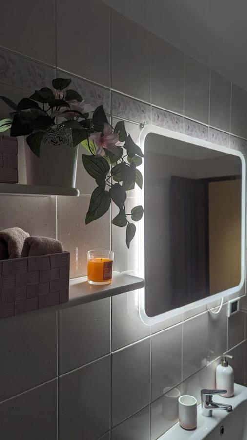 Ferienwohnung La Terrazza Del Re Vercelli Exterior foto